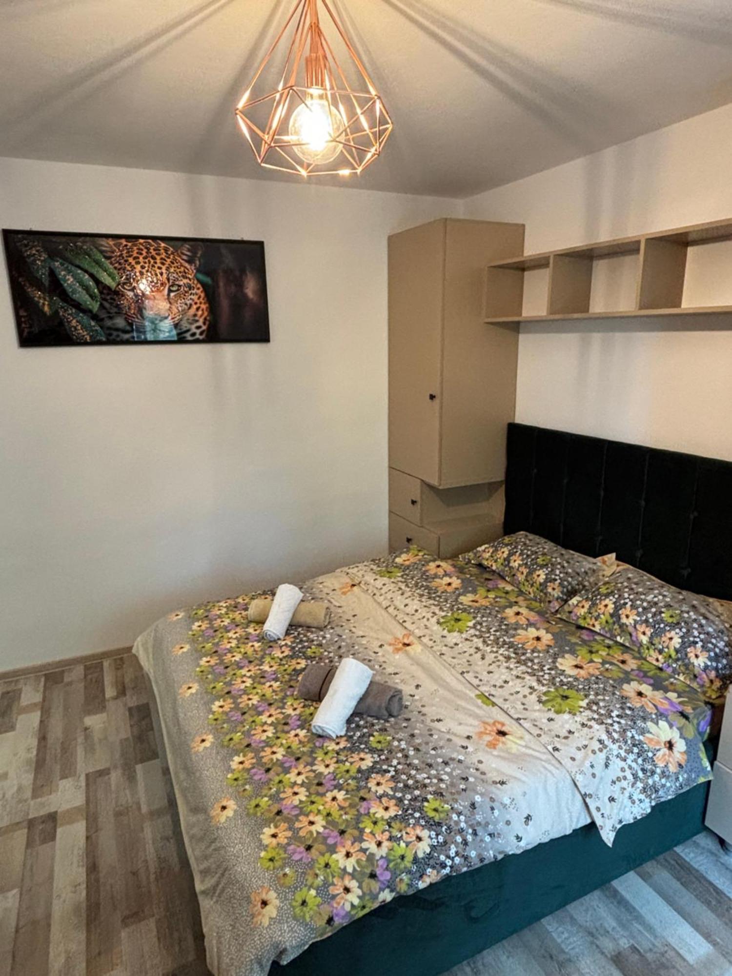 Select Apartament Bvd Stefan Cel Mare 雅西 外观 照片